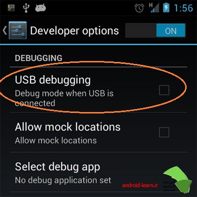 developr options