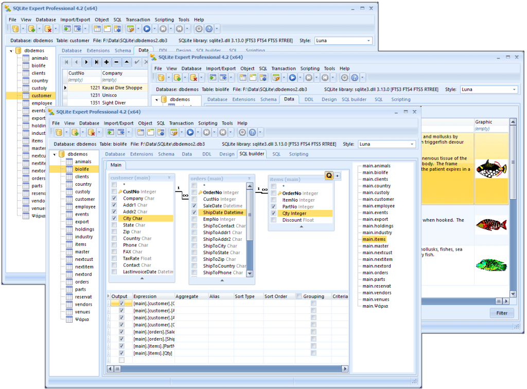 برنامه sqlite expert