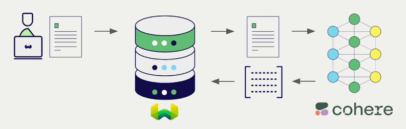 Cohere API